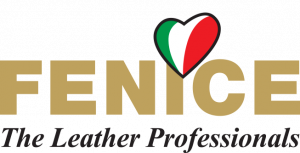 (EN) Fenice care system